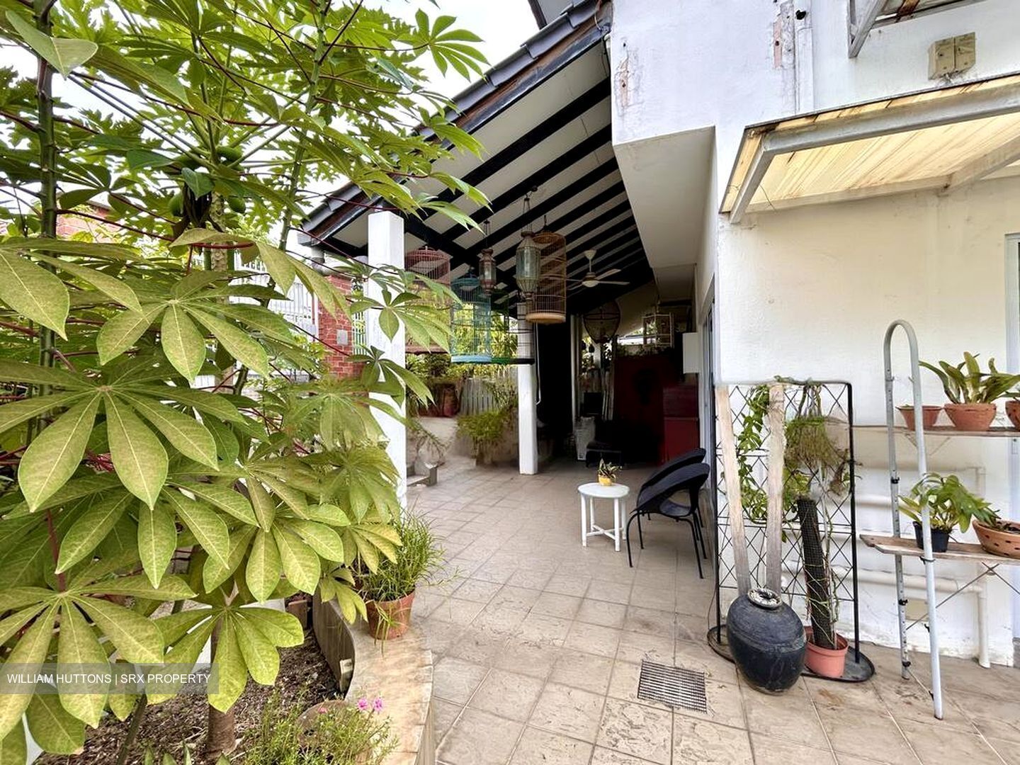 Chai Chee Road (D16), Terrace #479873681